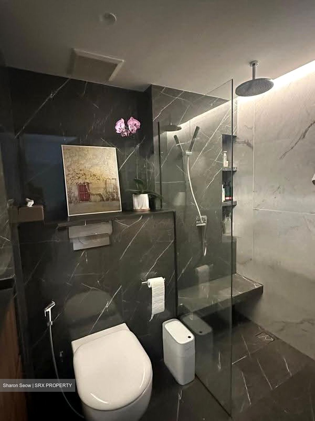 River Place (D3), Condominium #620769271